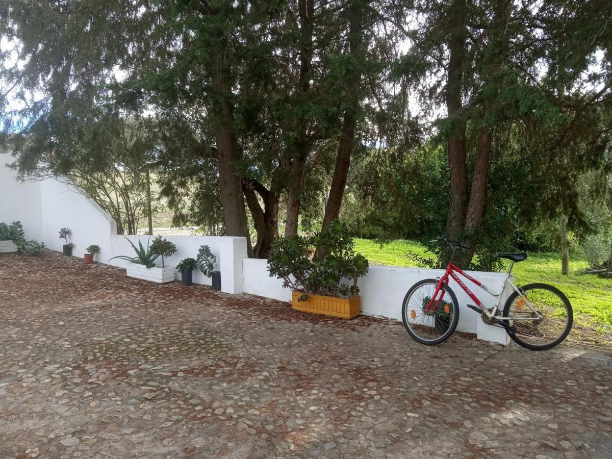 Monte Da Samarra Holiday home
