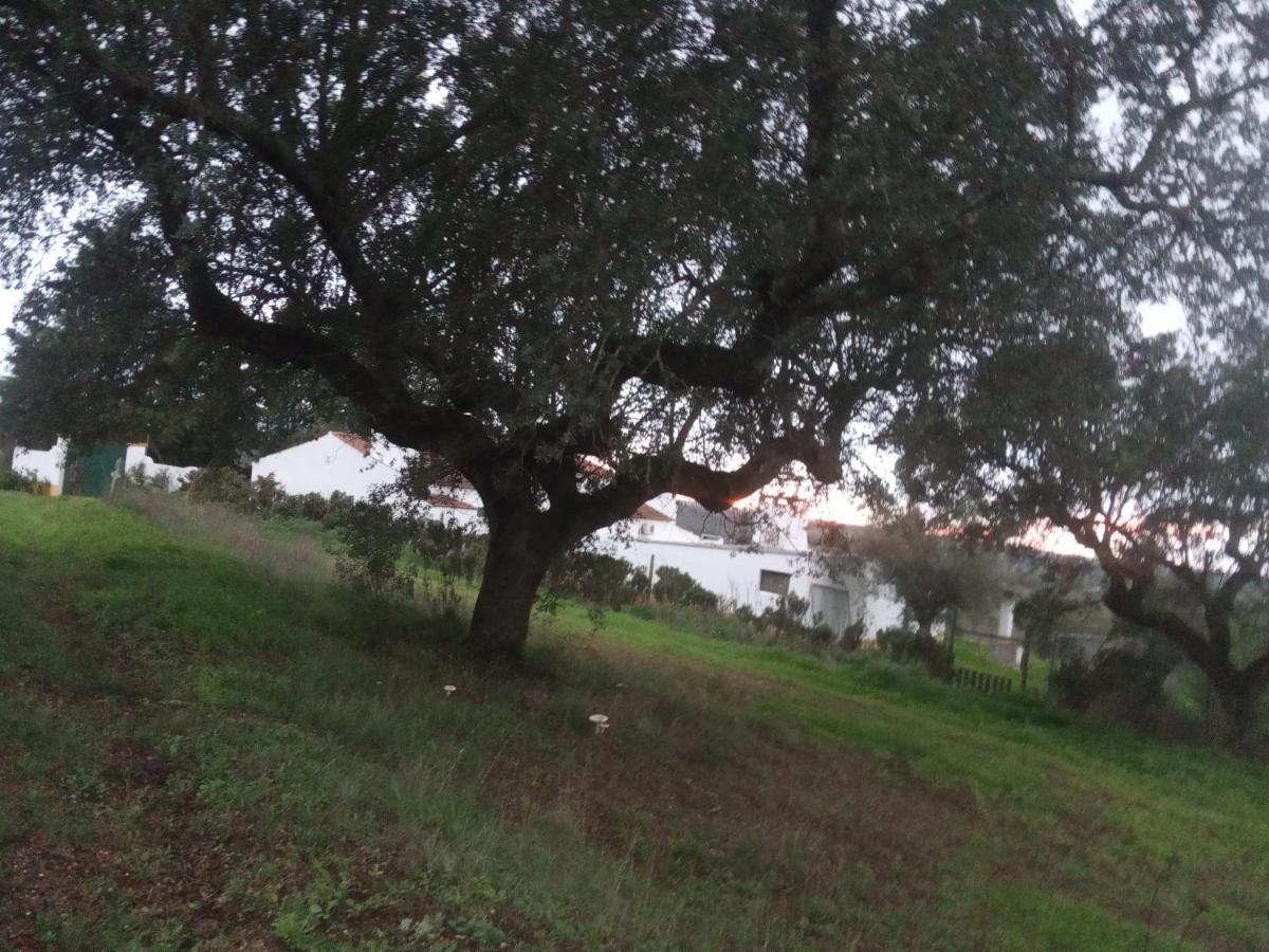 Monte Da Samarra *