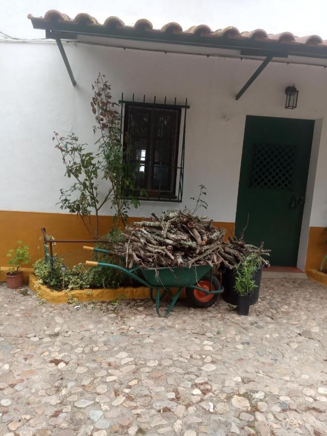 Holiday home Monte Da Samarra Avis