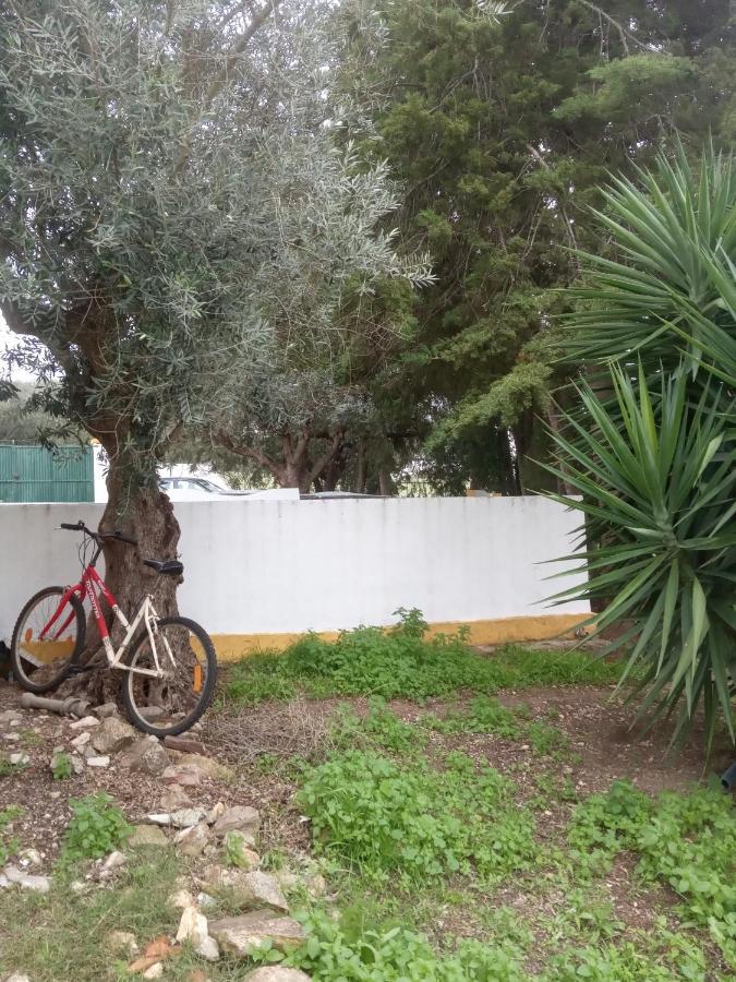 Holiday home Monte Da Samarra Avis