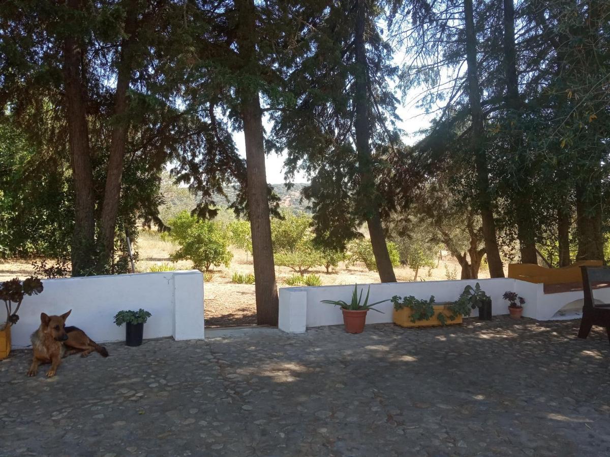 Monte Da Samarra Holiday home *