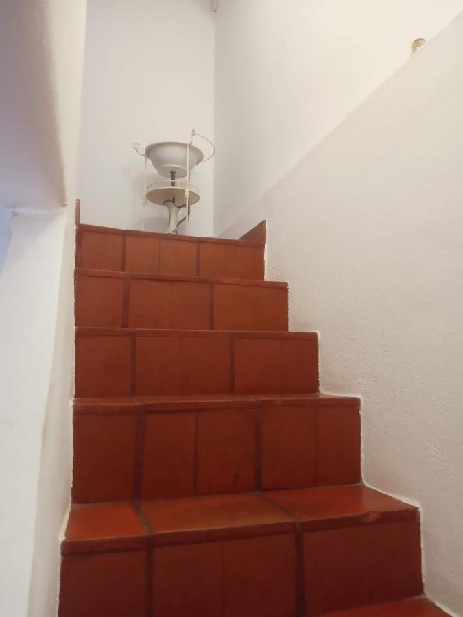 Monte Da Samarra * Avis