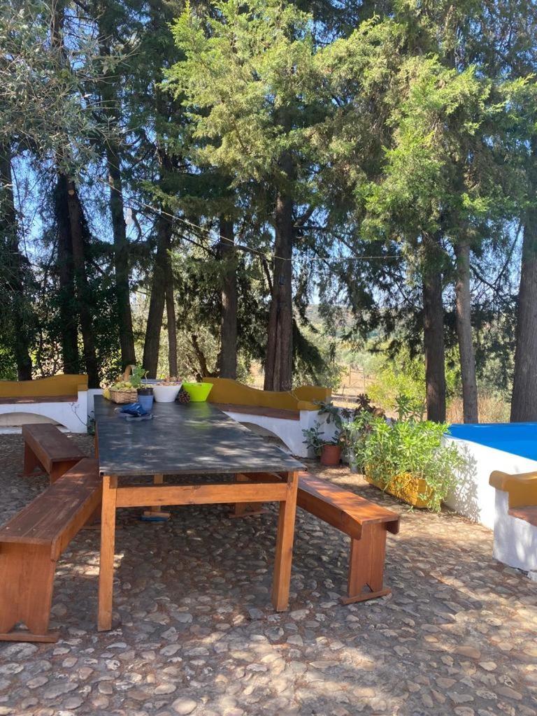 Monte Da Samarra Holiday home *