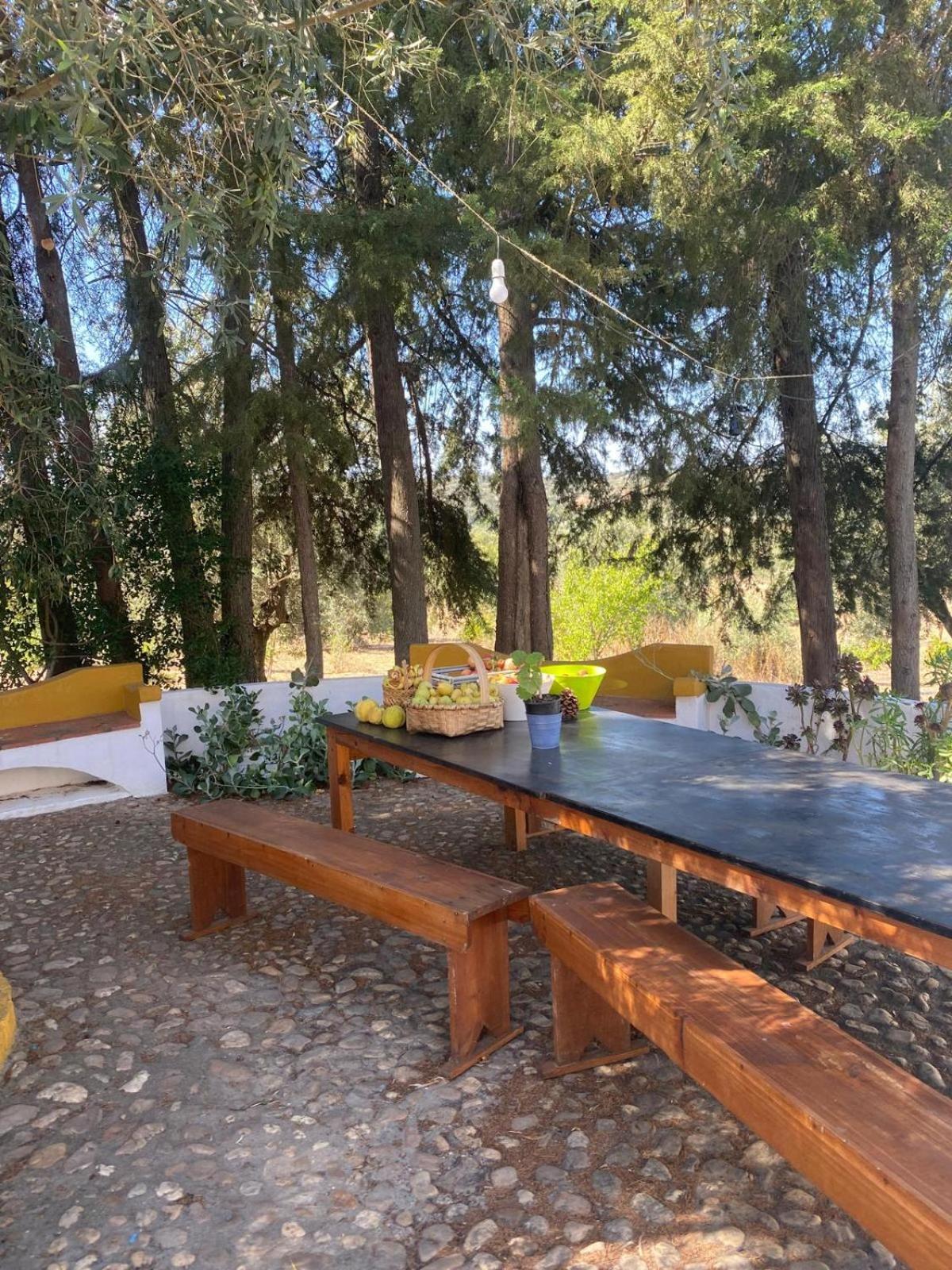 Holiday home Monte Da Samarra *