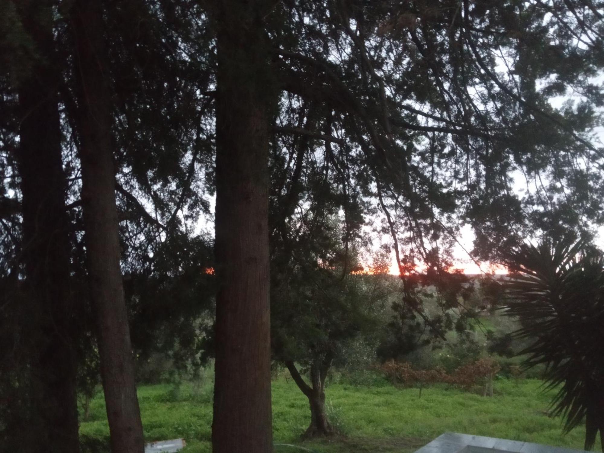 Monte Da Samarra * Avis