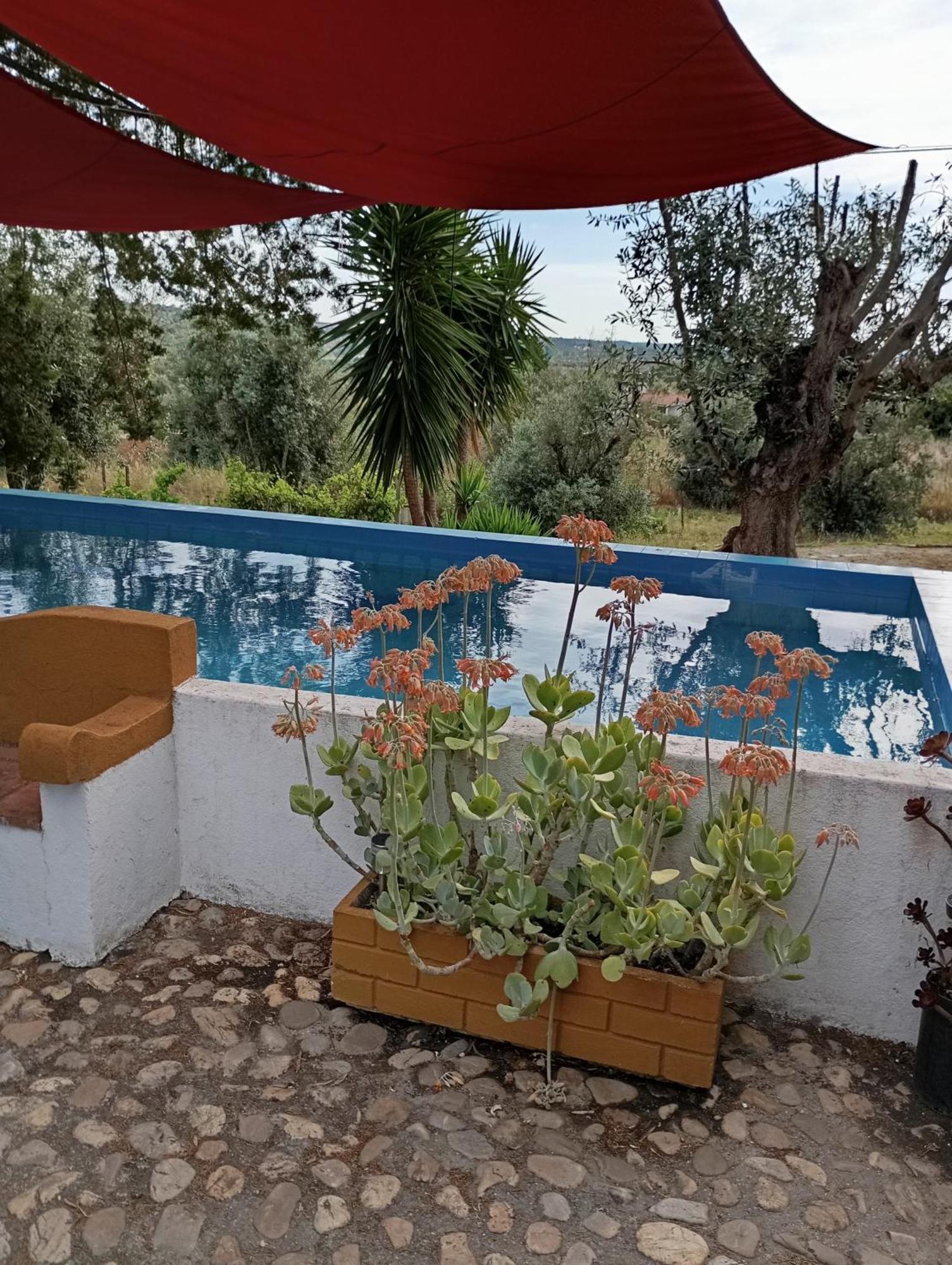 Monte Da Samarra Holiday home
