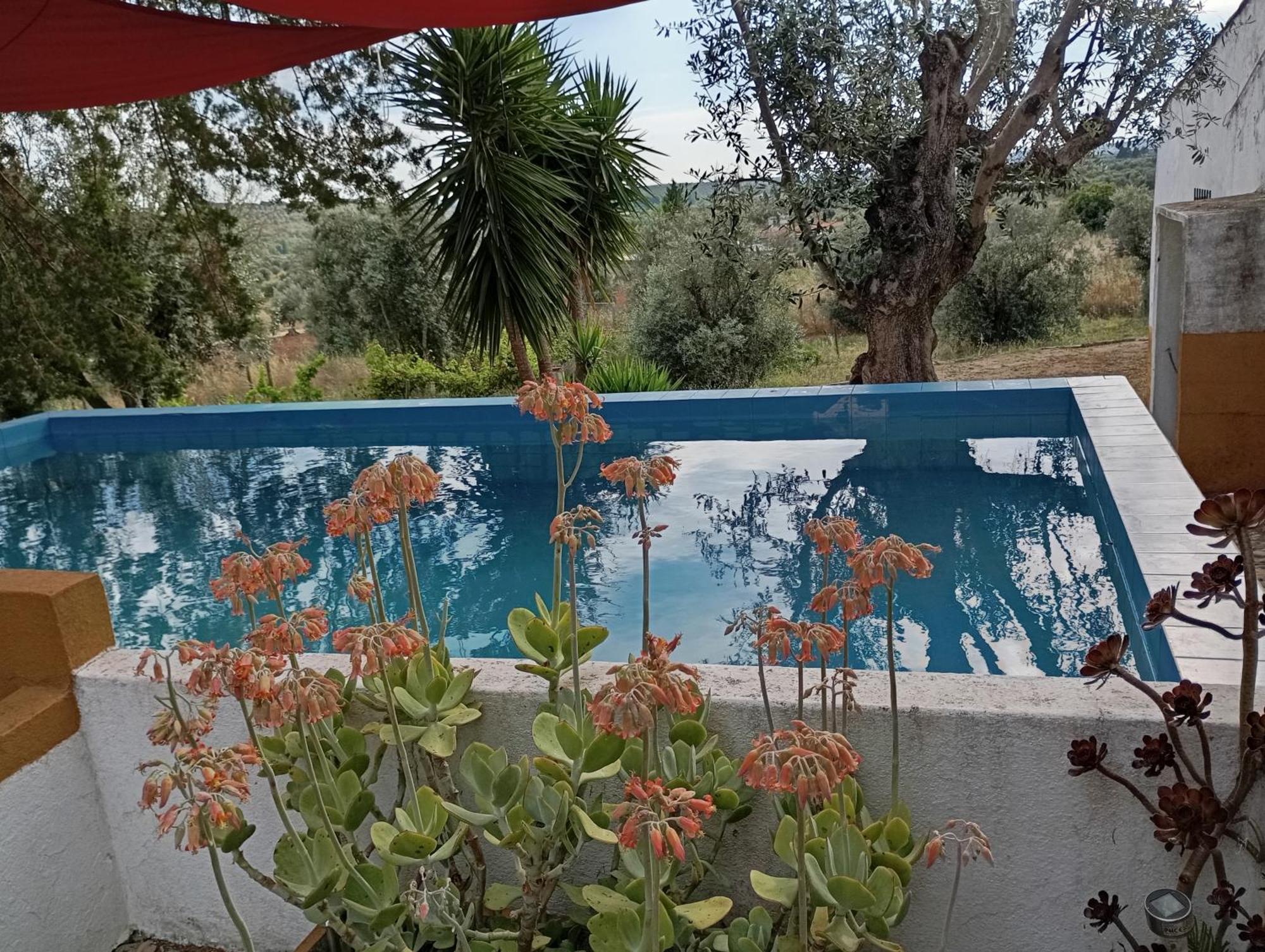 Holiday home Monte Da Samarra *