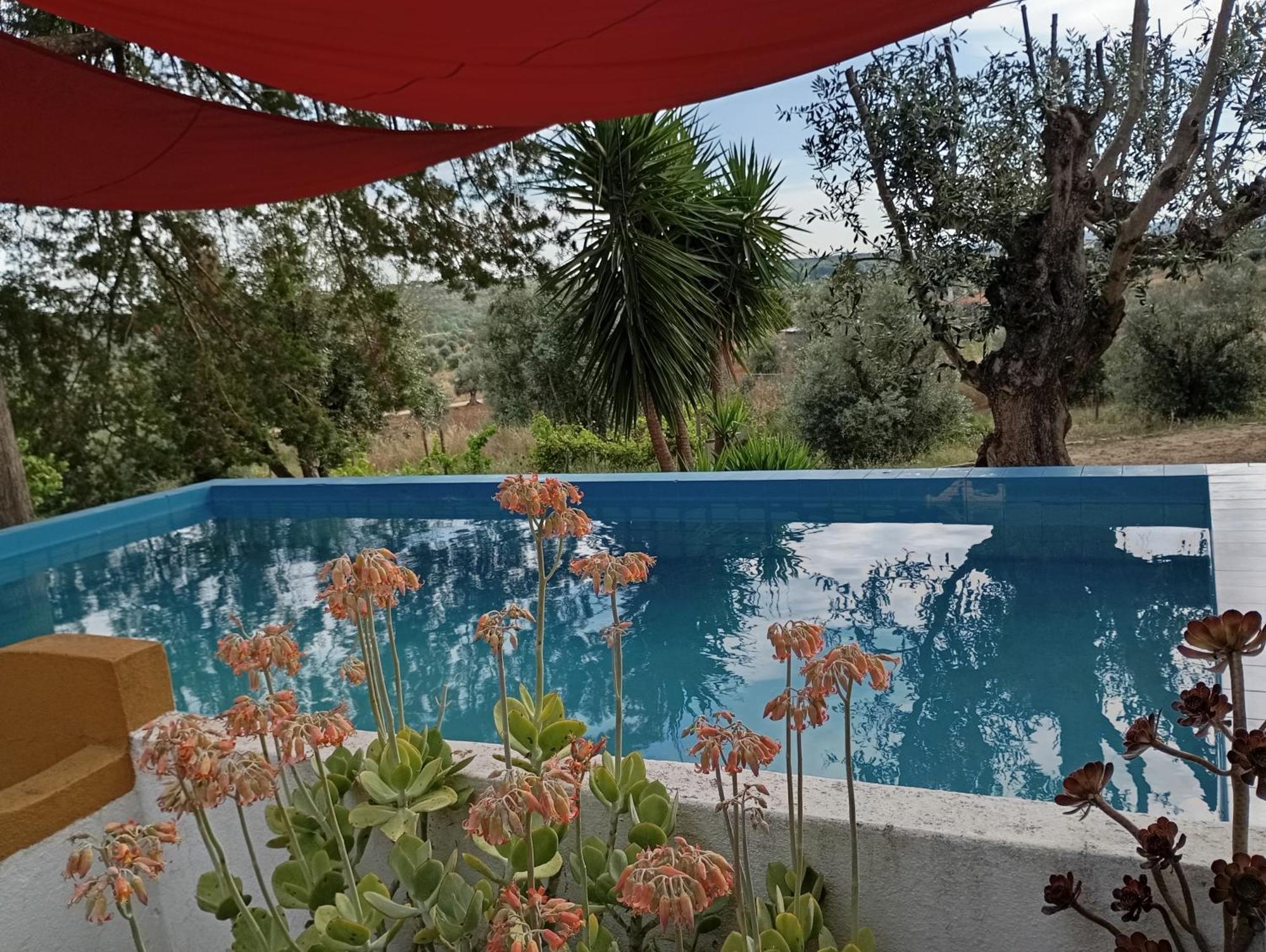 Monte Da Samarra Holiday home *